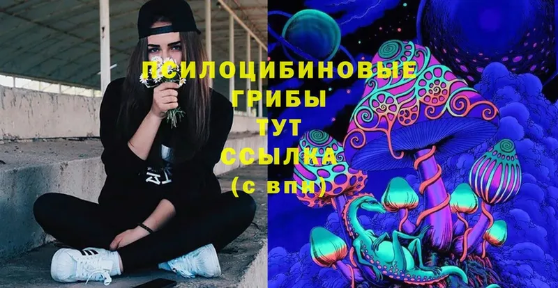 Псилоцибиновые грибы Magic Shrooms  Невельск 